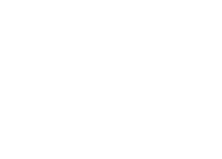 arkviz.biz